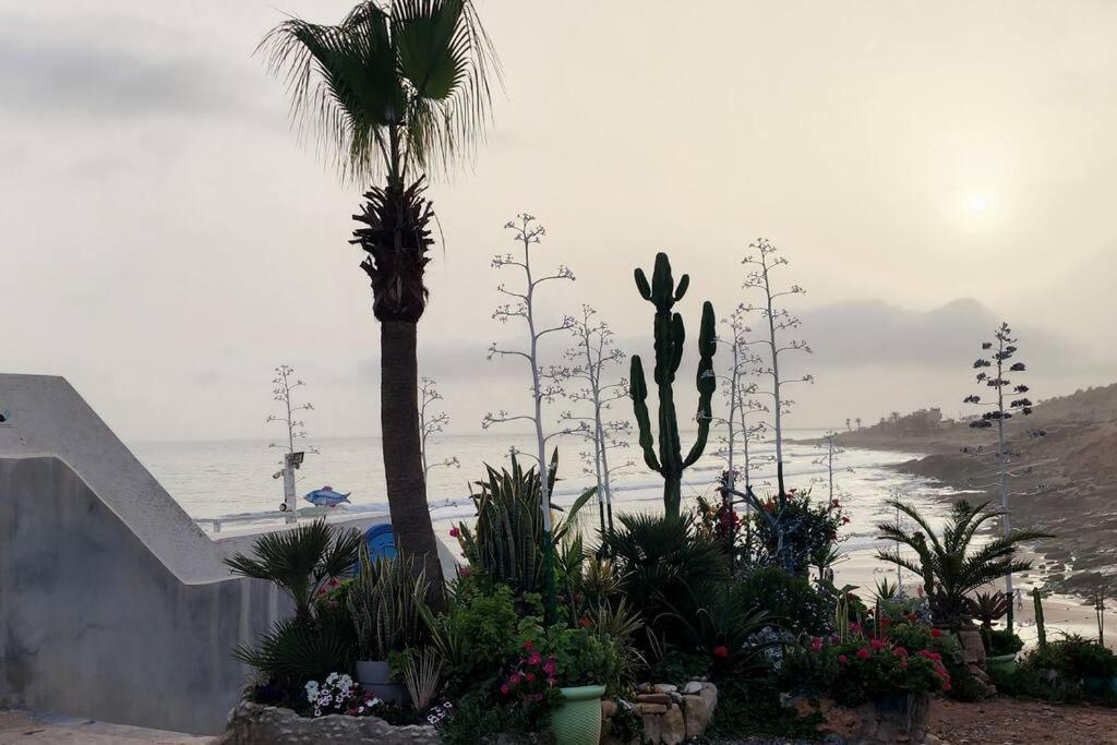Superbe Pied Et Vue Sur Taghazout